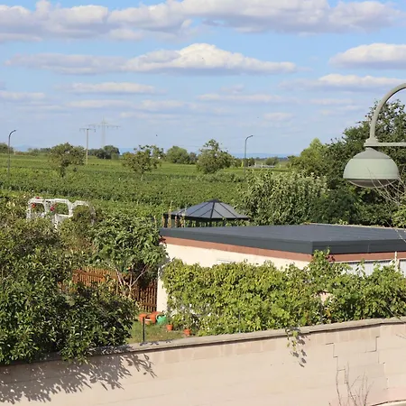 Apartamento Pfaelzerdrachennest Neustadt an der Weinstraße Exterior foto